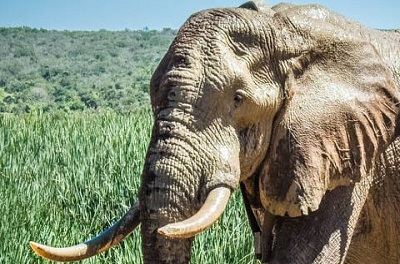 Adventures Destinations