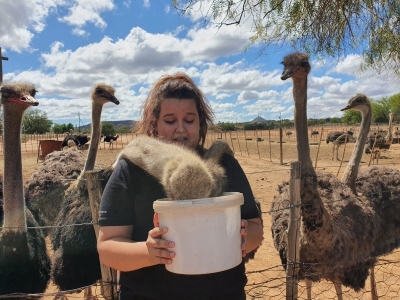 Highgate Ostrich Show Farm