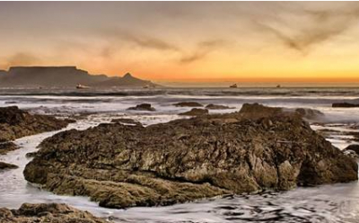 1st Quarter 2022  - Newsletter No 49