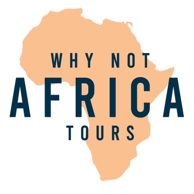 Why Not Africa Tours