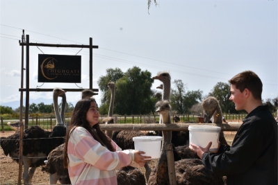 HIGHGATE OSTRICH SHOW FARM