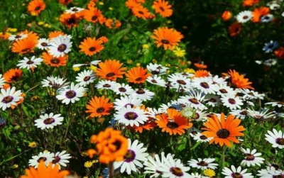 September/October 2015