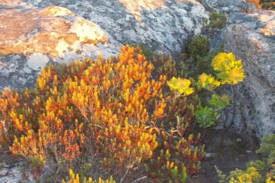 CTC Marketing Travel Blog No.1