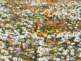 cid:image096.png@01D4B1EF.993A6C70