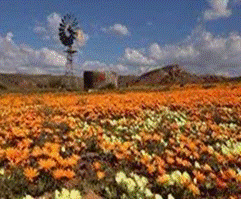 cid:image098.png@01D4B1EF.993A6C70