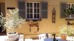 Courtyard windows