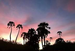 Sunset at Halali