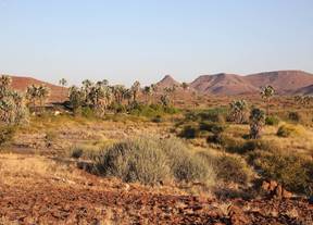 Palmwag Camp